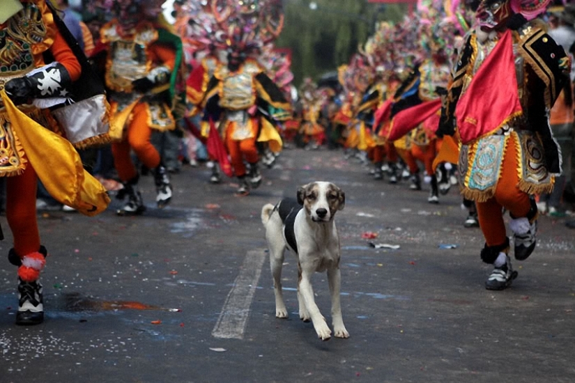 Boliviana de vacaciones: la Diablada Boliviana de vacaciones: la Diablada