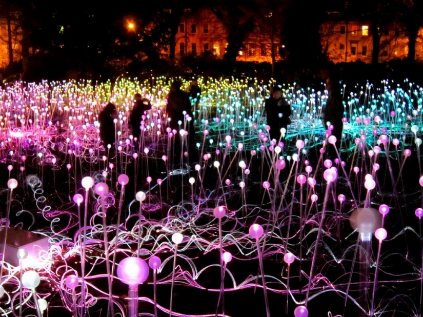Campo de luz