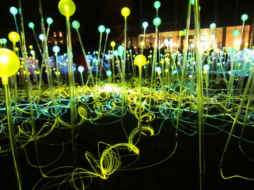 Campo de luz