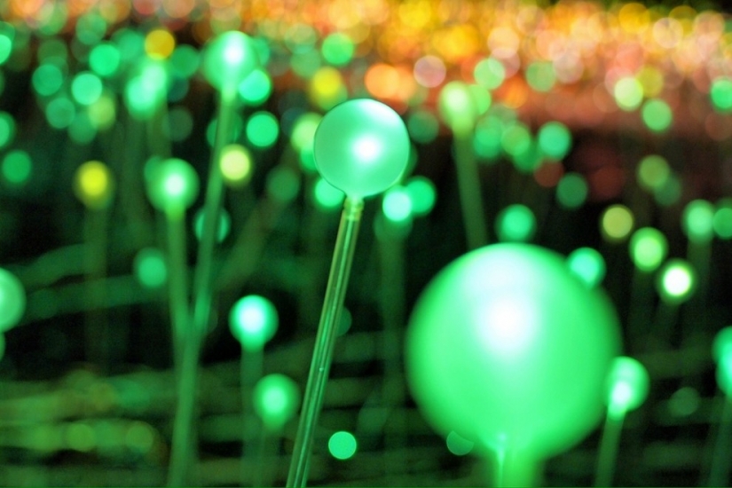Campo de luz