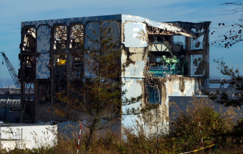 Fukushima — zona de riesgo