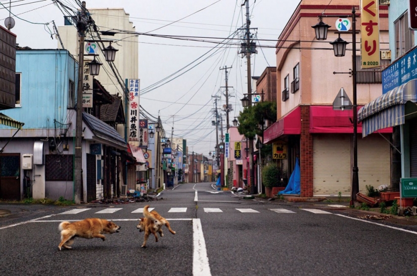 Fukushima — zona de riesgo