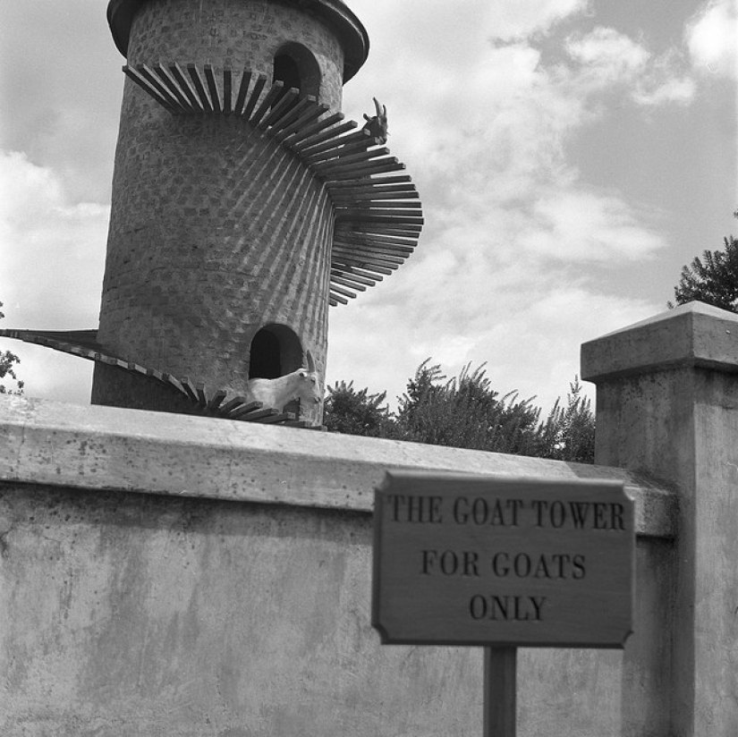 Goat tower