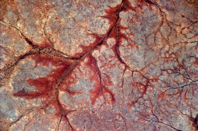 La tierra en la lente de astronauta Paolo Nespoli La tierra en la lente de astronauta Paolo Nespoli