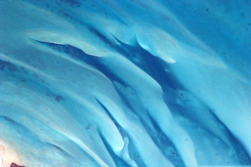 La tierra en la lente de astronauta Paolo Nespoli La tierra en la lente de astronauta Paolo Nespoli