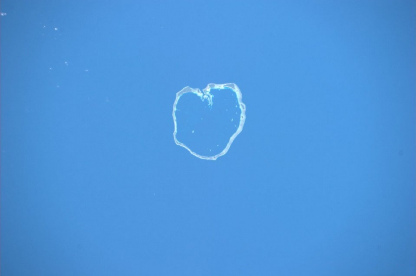 La tierra en la lente de astronauta Paolo Nespoli La tierra en la lente de astronauta Paolo Nespoli