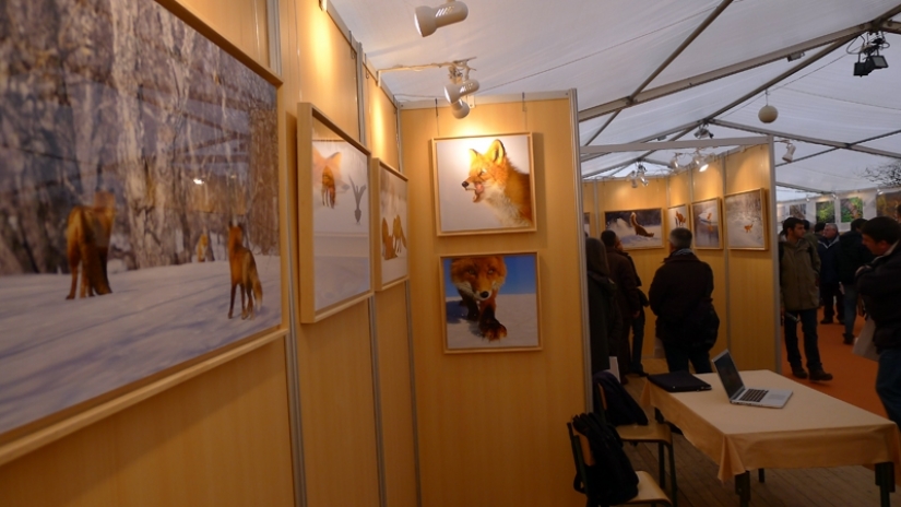 "Los Zorros De Kamchatka". Festival de fotógrafos de naturaleza de Montier-en-Der
