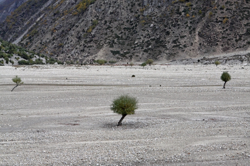 Pakistán: sabemos acerca de él? (Parte 1) Pakistán: sabemos acerca de él? (Parte 1)