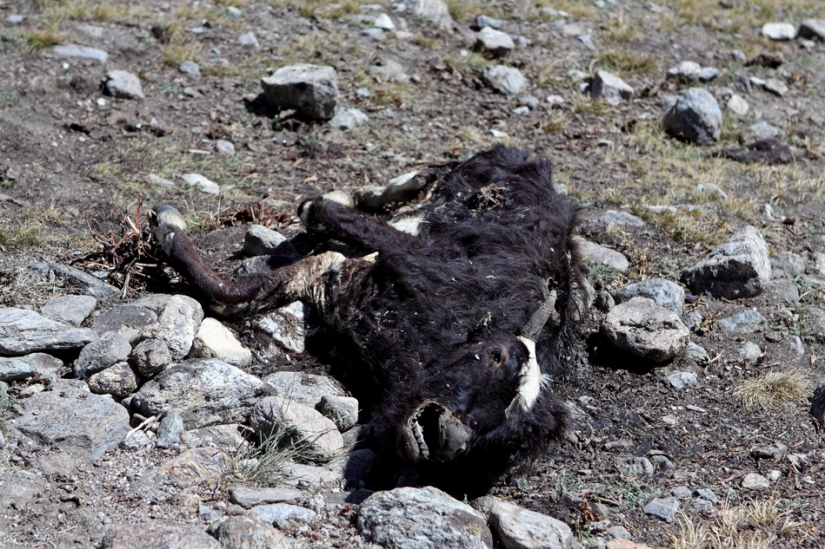 Pakistán: sabemos acerca de él? (Parte 1) Pakistán: sabemos acerca de él? (Parte 1)