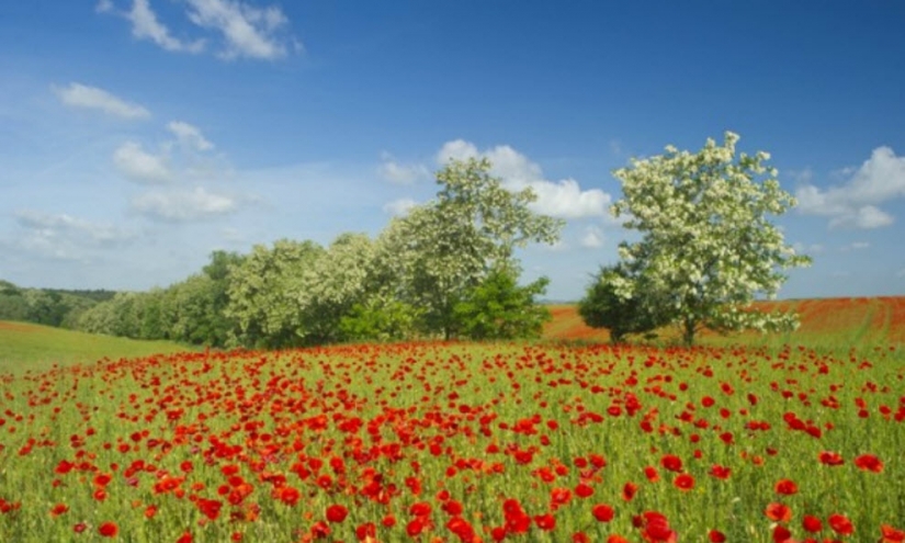 Pictures of the day: 24 may Pictures of the day: 24 may
