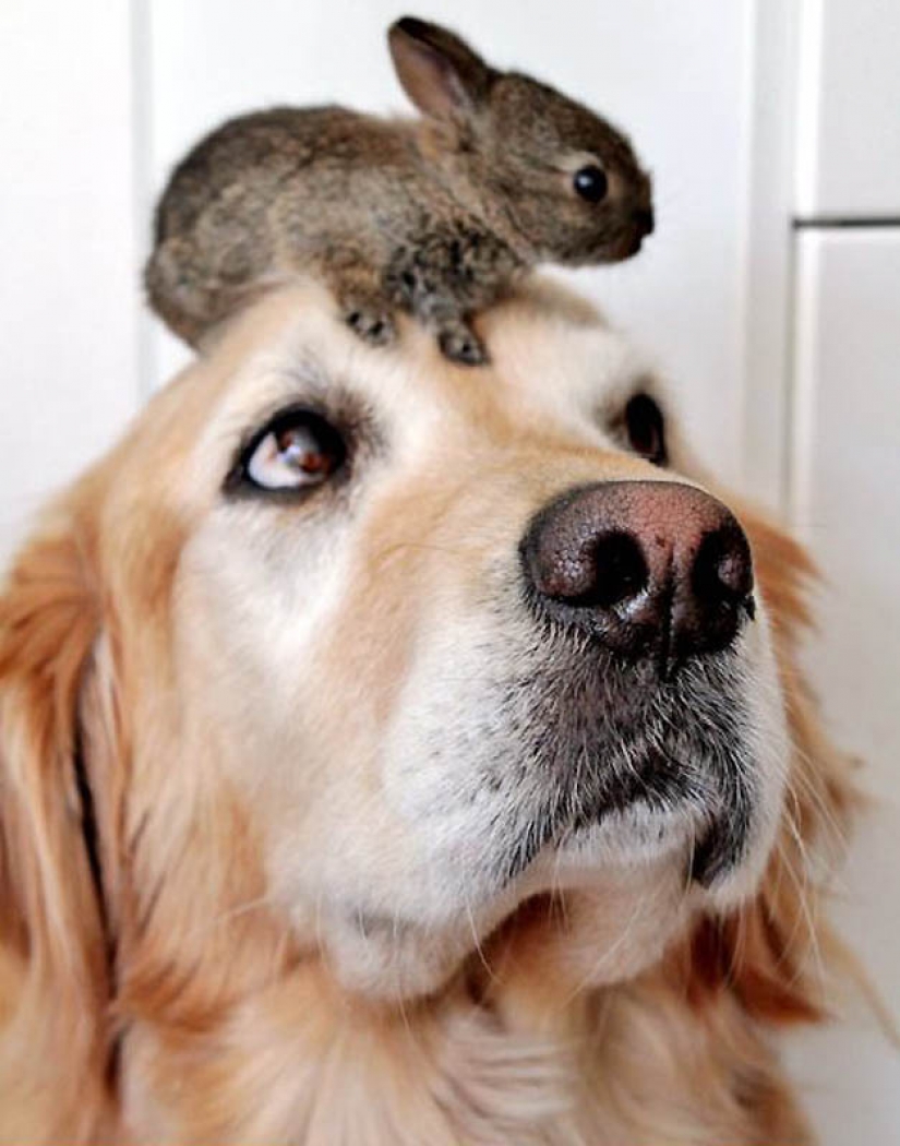 Pictures of the day: may 23 Pictures of the day: may 23