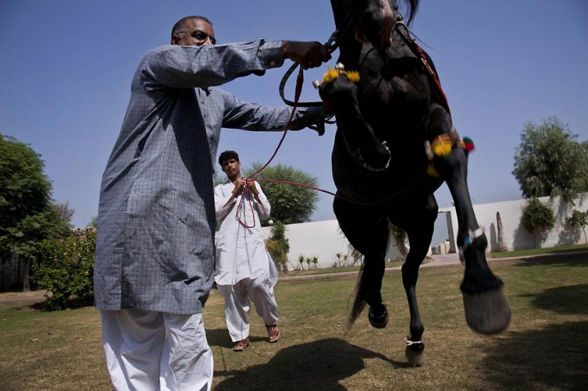 Punjab: a region with a difficult past and the present