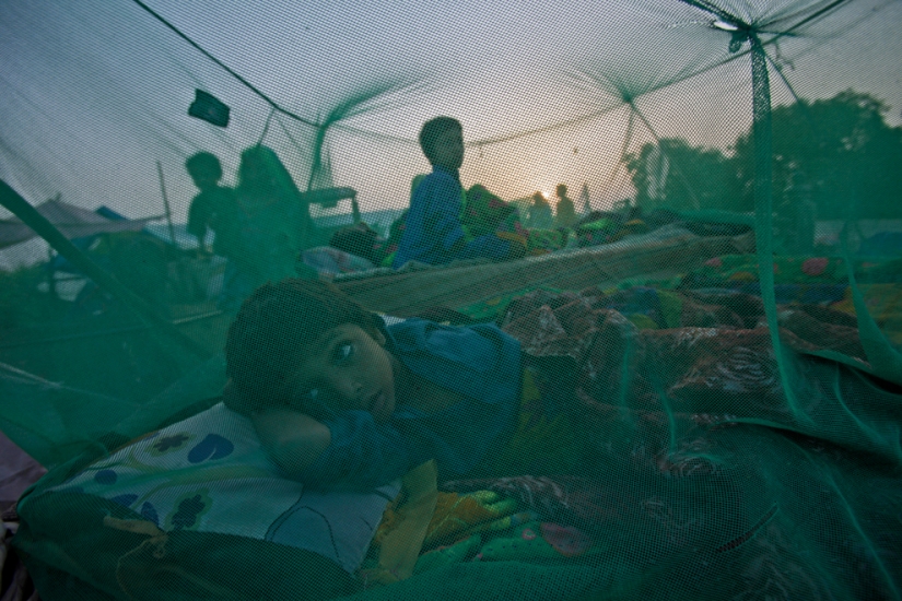 Raging element in different countries