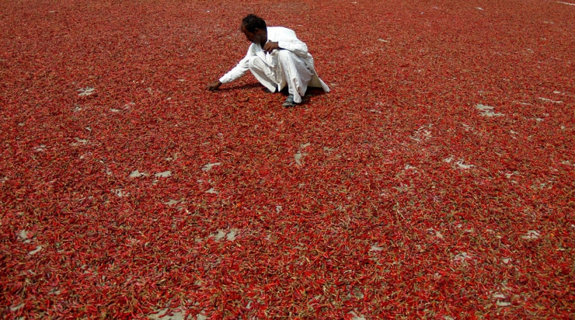 Raging element in different countries