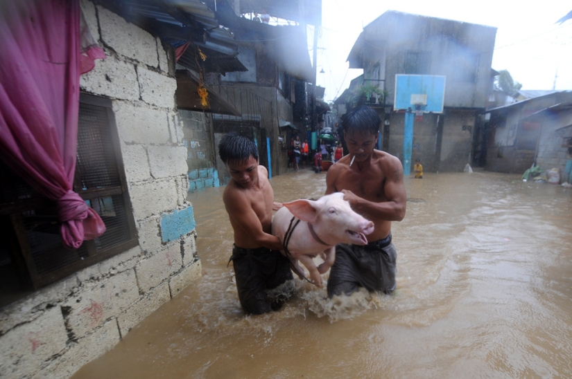 Raging element in different countries