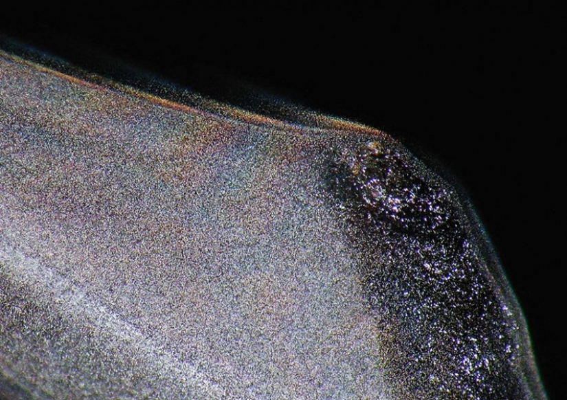 Rainbow candle Rainbow candle