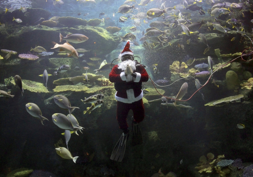 Santa and the crisis Santa and the crisis