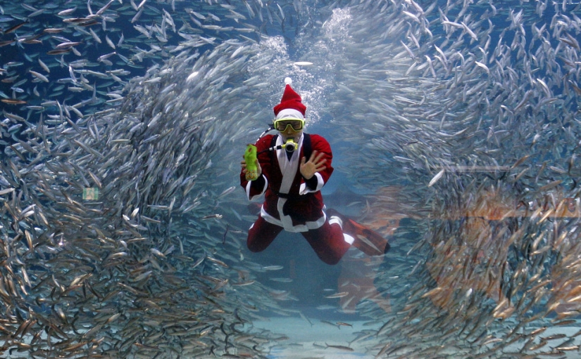 Santa y la crisis Santa y la crisis