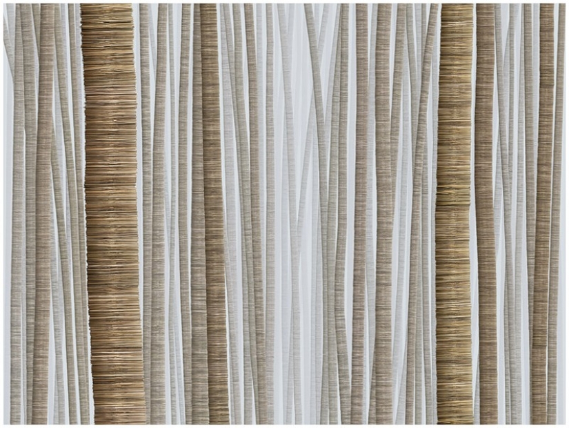 Series "American self-portrait" by Chris Jordan Series "American self-portrait" by Chris Jordan