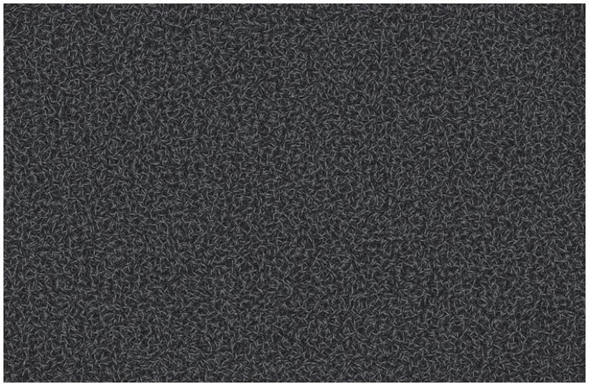 Series "American self-portrait" by Chris Jordan Series "American self-portrait" by Chris Jordan