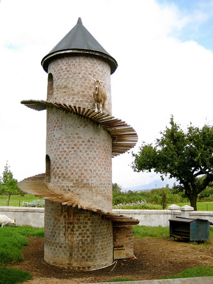 Torre de la cabra