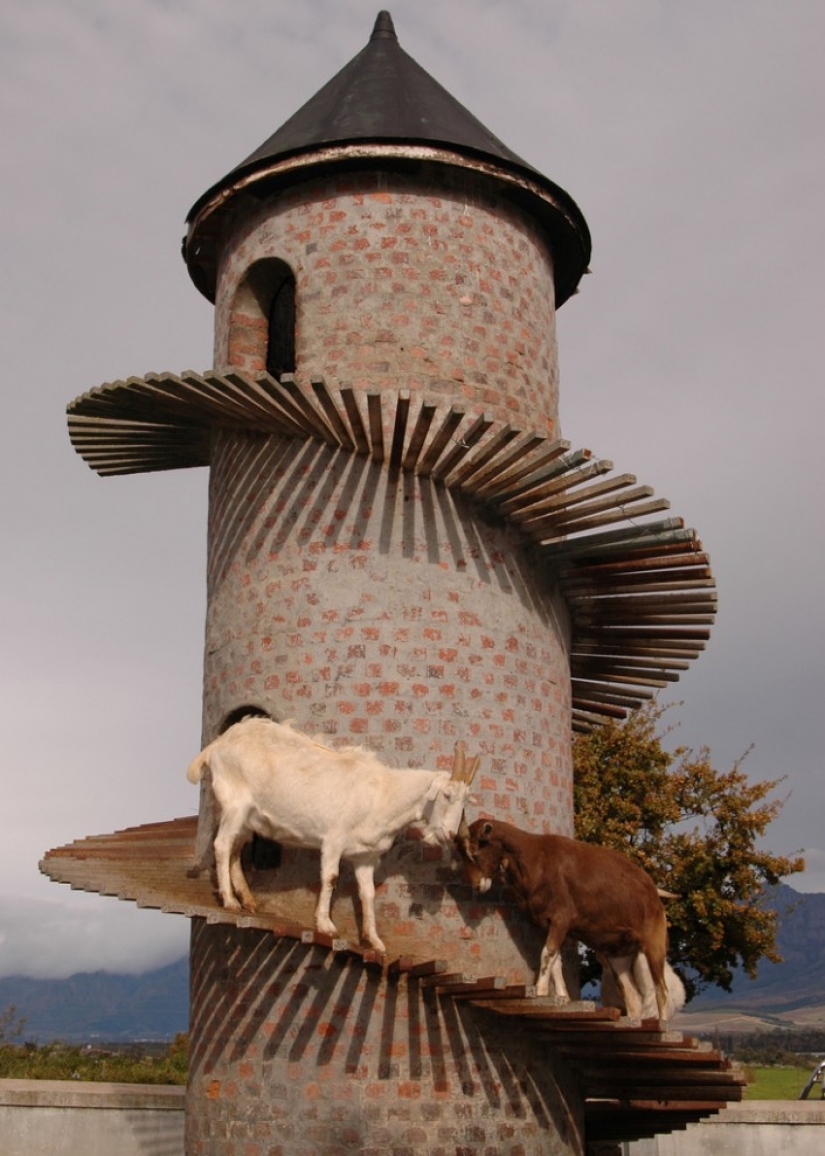 Torre de la cabra