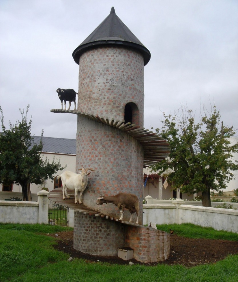 Torre de la cabra