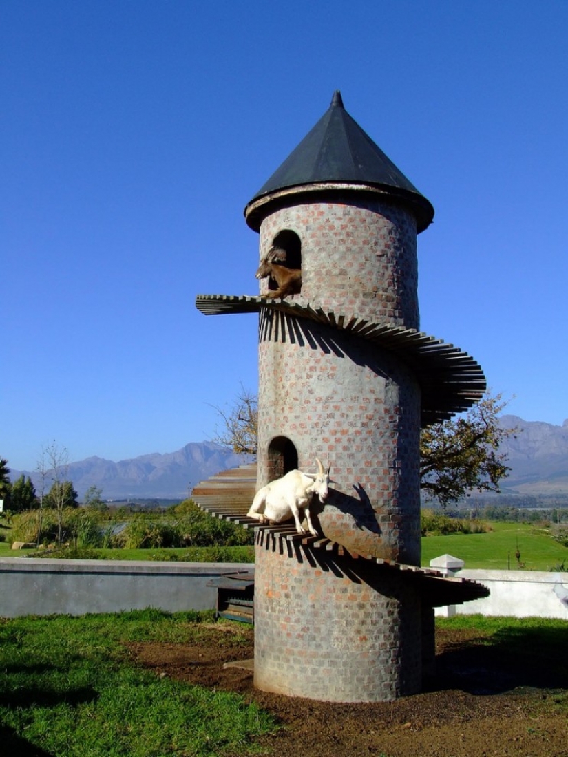 Torre de la cabra