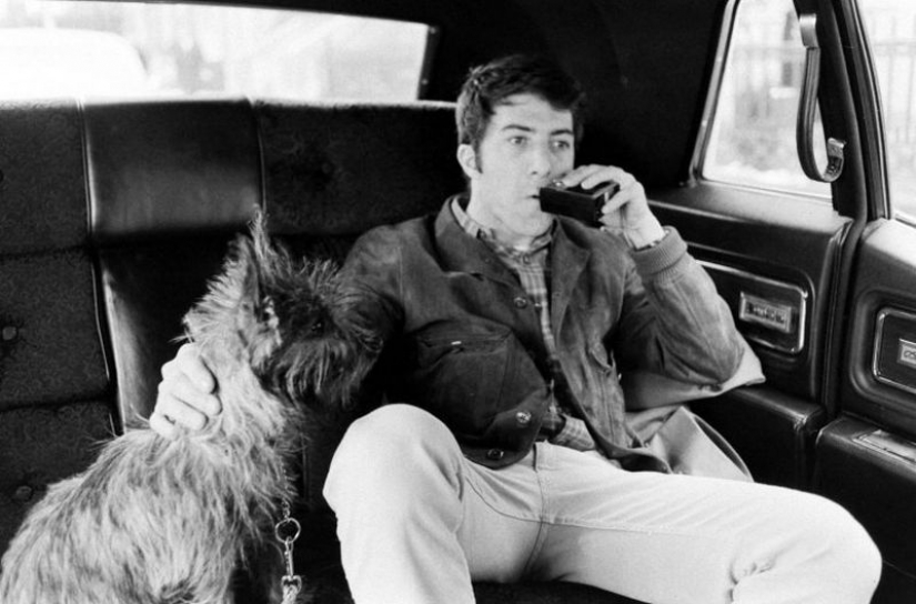 75 años de edad Dustin Hoffman! 75 años de edad Dustin Hoffman!
