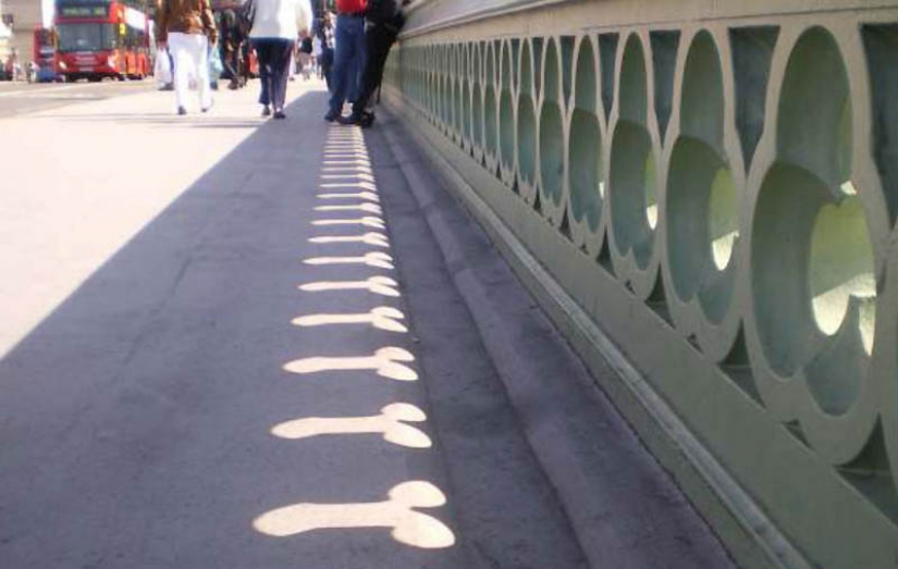 A veces hay inexplicable fotos, poco susceptibles de sentido común