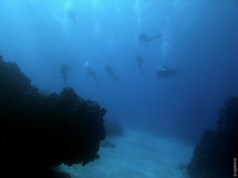 Diving on the island of Cozumel Diving on the island of Cozumel