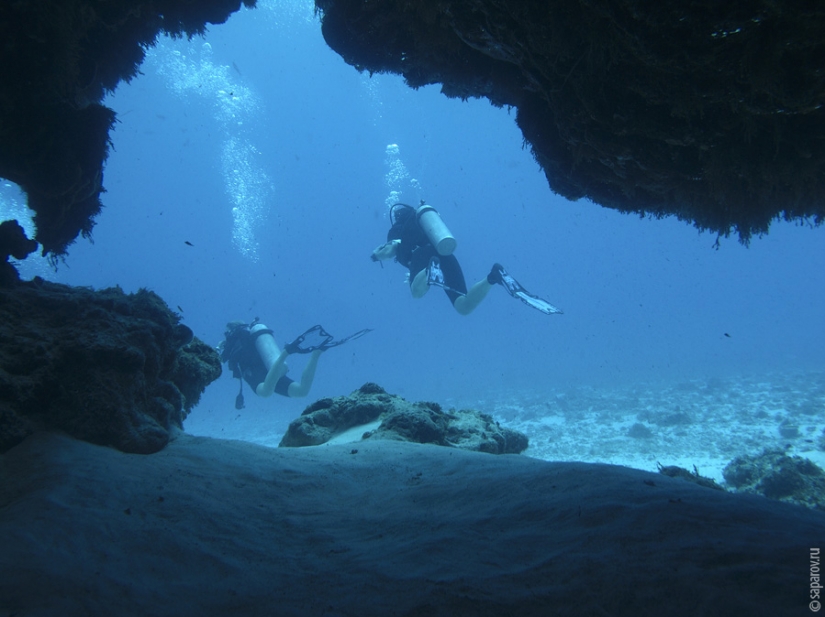 Diving on the island of Cozumel Diving on the island of Cozumel
