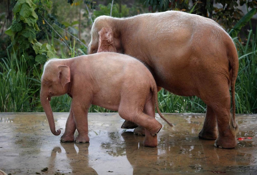 Hermanos nuestros más pequeños