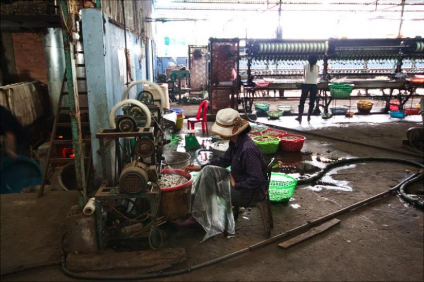 How to get silk thread How to get silk thread
