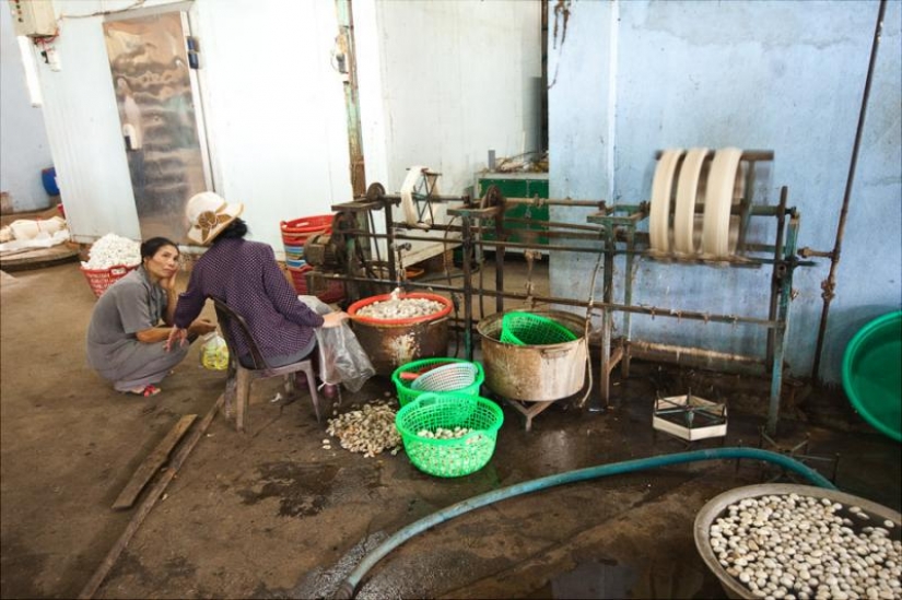 How to get silk thread How to get silk thread