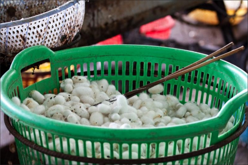 How to get silk thread How to get silk thread
