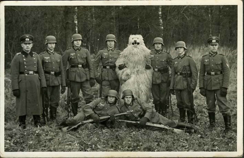 Sometimes there are inexplicable pictures, poorly amenable to common sense Sometimes there are inexplicable pictures, poorly amenable to common sense