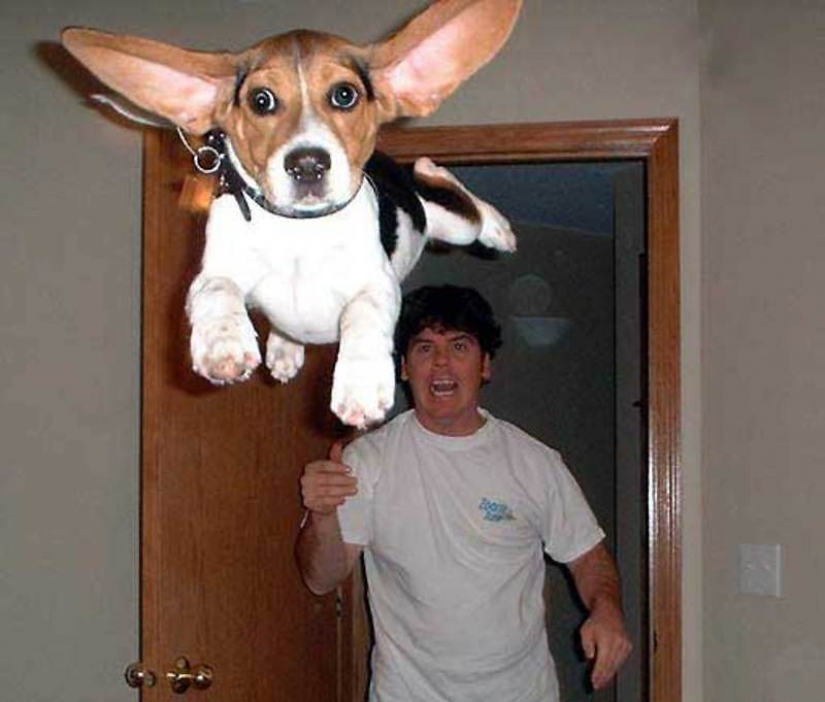 Sometimes there are inexplicable pictures, poorly amenable to common sense Sometimes there are inexplicable pictures, poorly amenable to common sense