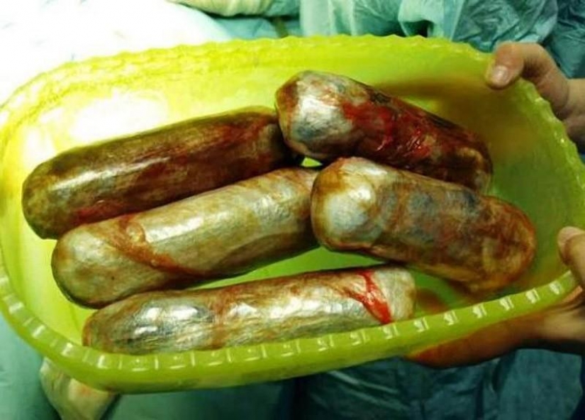 El contrabando de drogas en el interior de los perros...