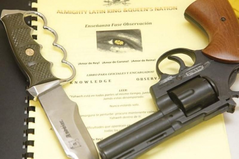 El contrabando de drogas en el interior de los perros...