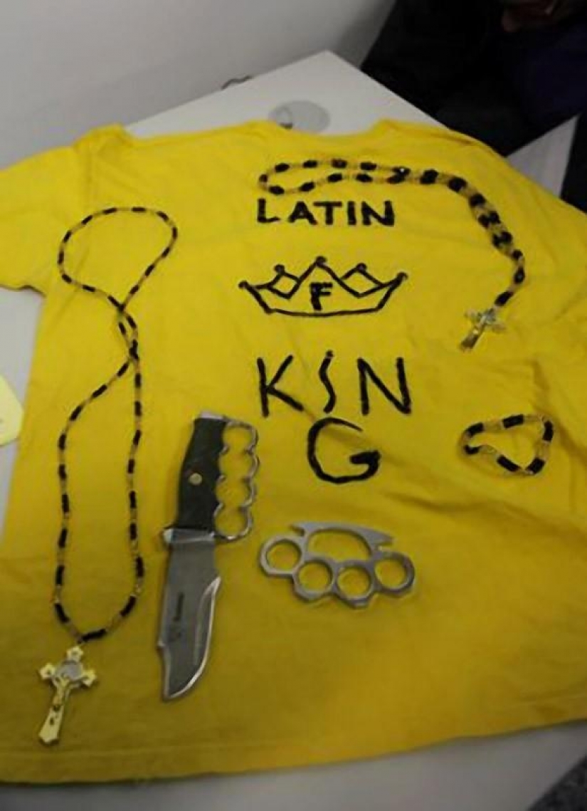 El contrabando de drogas en el interior de los perros...