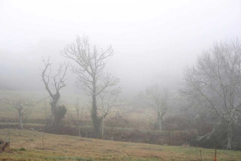 En el borde de la extinción: en este pueblo español se mantuvo los dos últimos residente