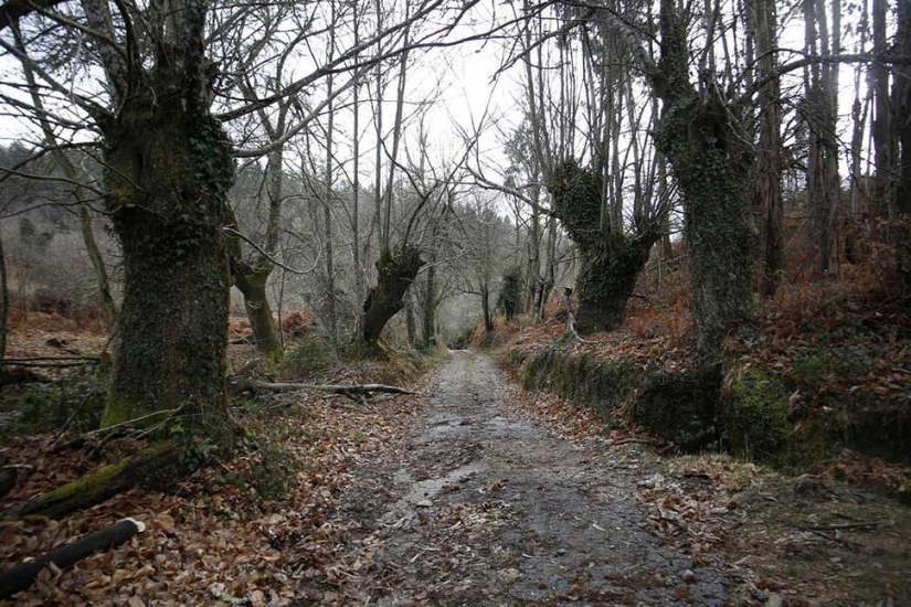 En el borde de la extinción: en este pueblo español se mantuvo los dos últimos residente