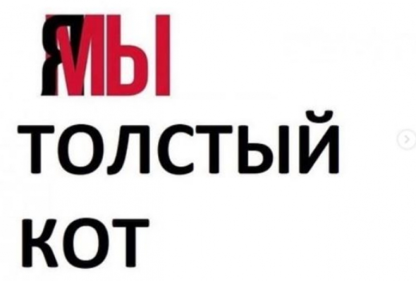 Cat Victor who could: the Russians lied to the airline and drove in the cabin too fat cat