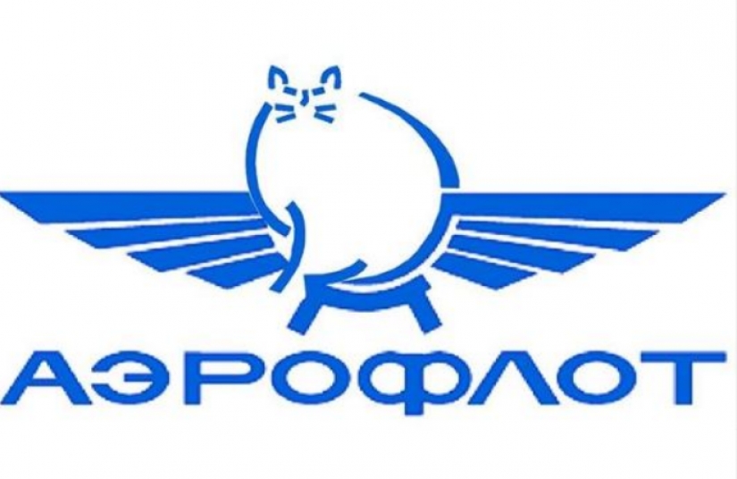 Cat Victor who could: the Russians lied to the airline and drove in the cabin too fat cat