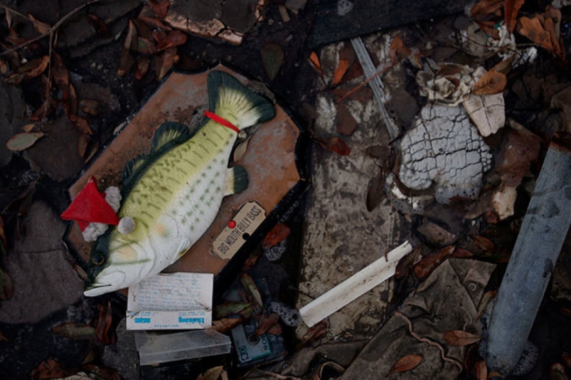 10 absolutely absurd ideas, which brought its authors a millions