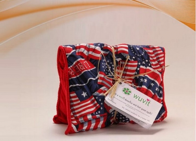 10 absolutely absurd ideas, which brought its authors a millions