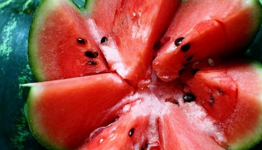 10 amazing recipes from watermelon