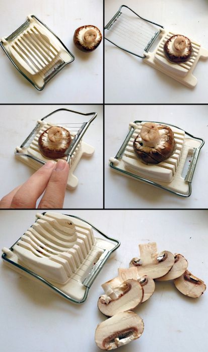 10 best lifehacks year, which everyone should know