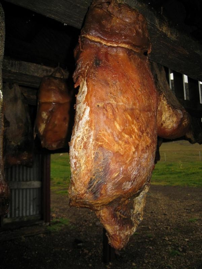 10 dangerous products 10 dangerous products